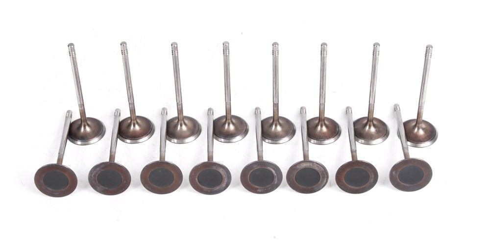 porsche-3.0t-3.6-4.8-4.8t-intake-valve-94810532102-14