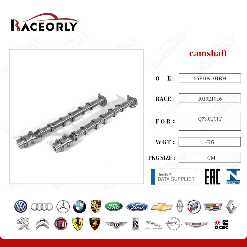 q73.0tcjt-nockenwelle-06e109101bh-20