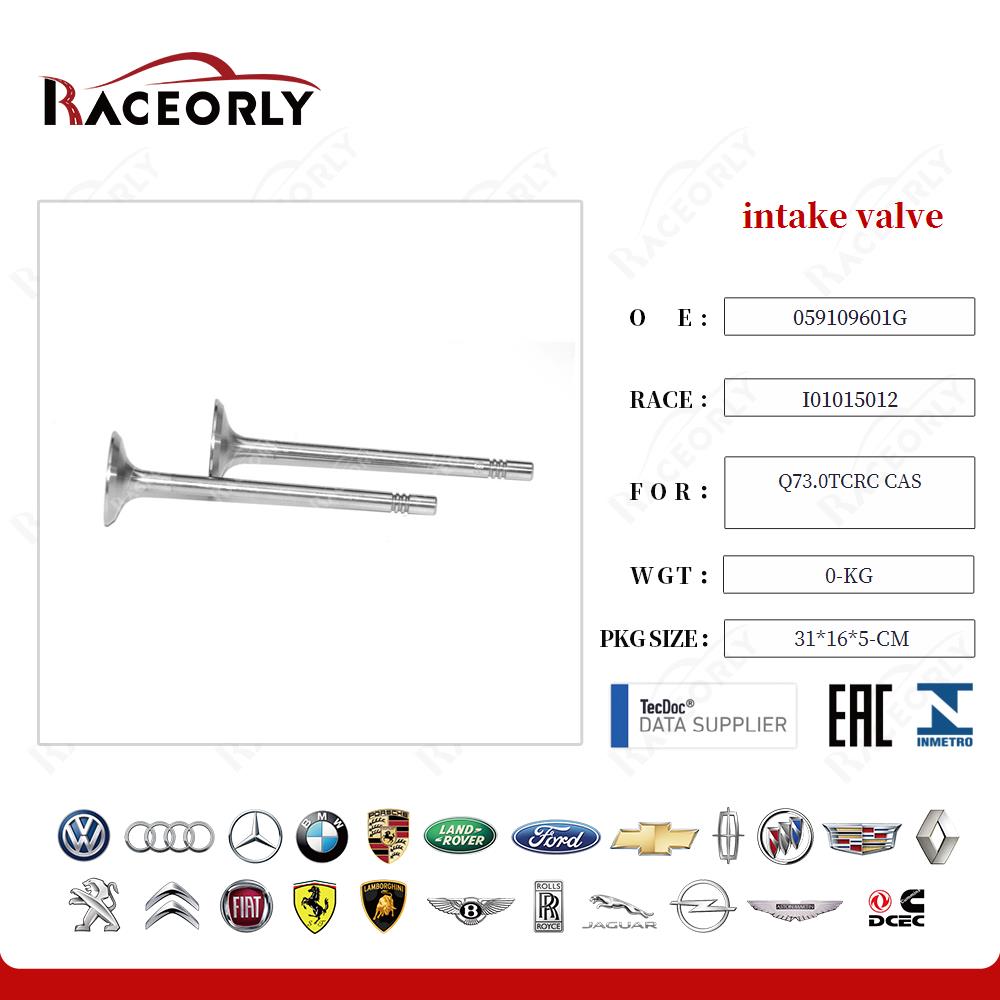q73.0tcrc-cas-intake-valve-059109601g-14