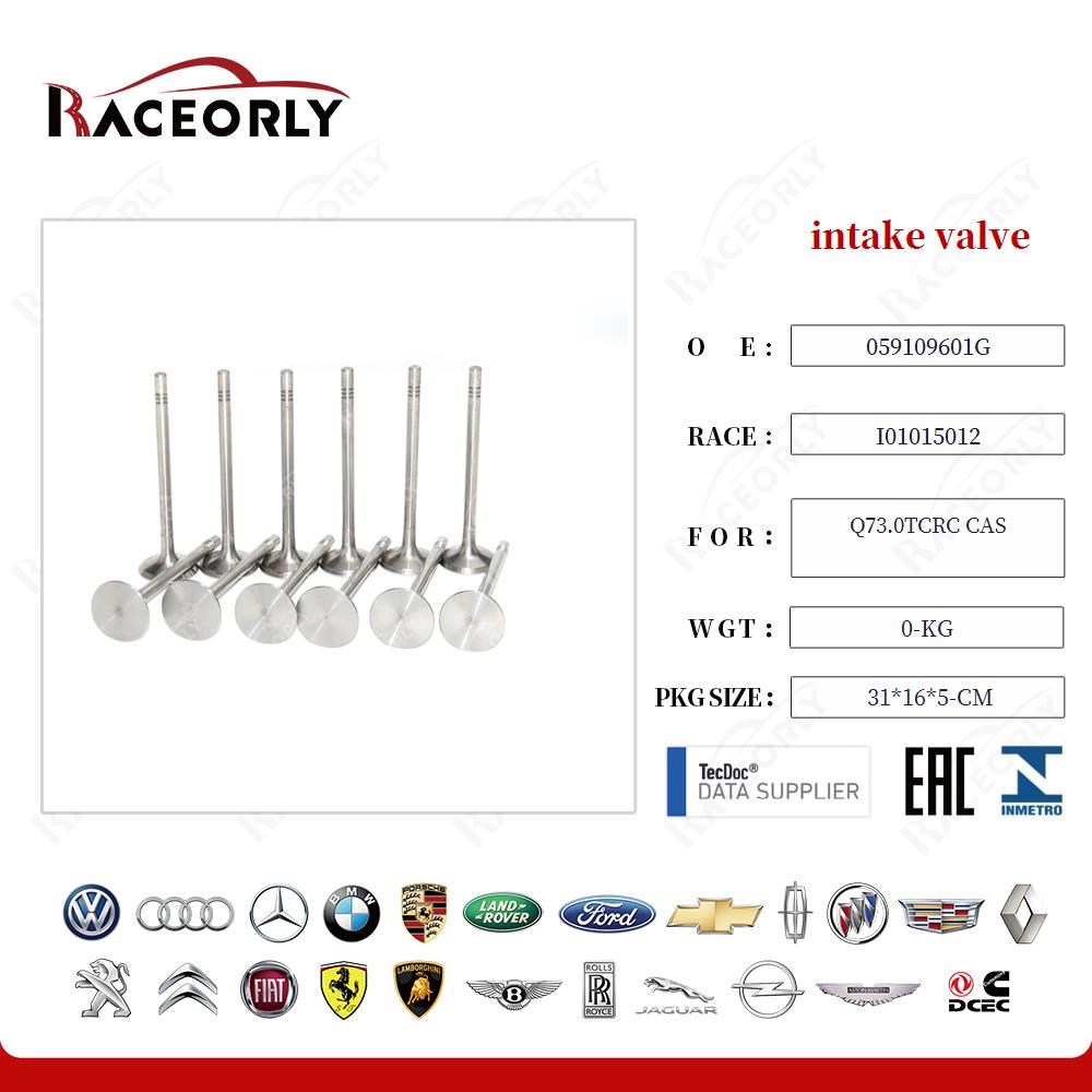 q73.0tcrc-cas-intake-valve-059109601g-20