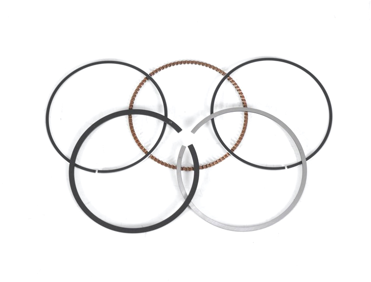 sagitar-polo-piston-ring-06b198151a-10